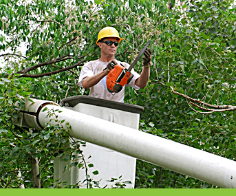 Tree Pruning